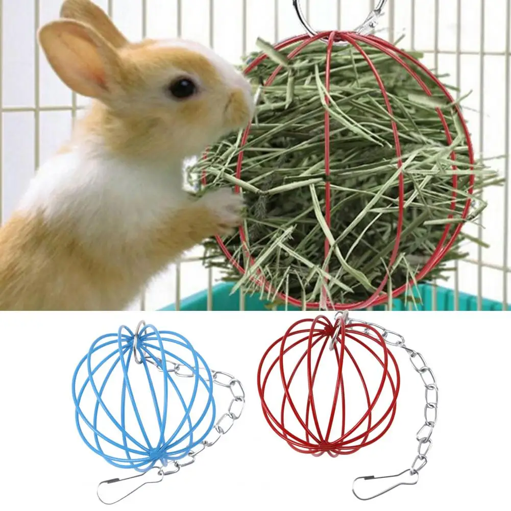 Choosing the Right Size and Shape: Toy Considerations for Guinea Pigs插图