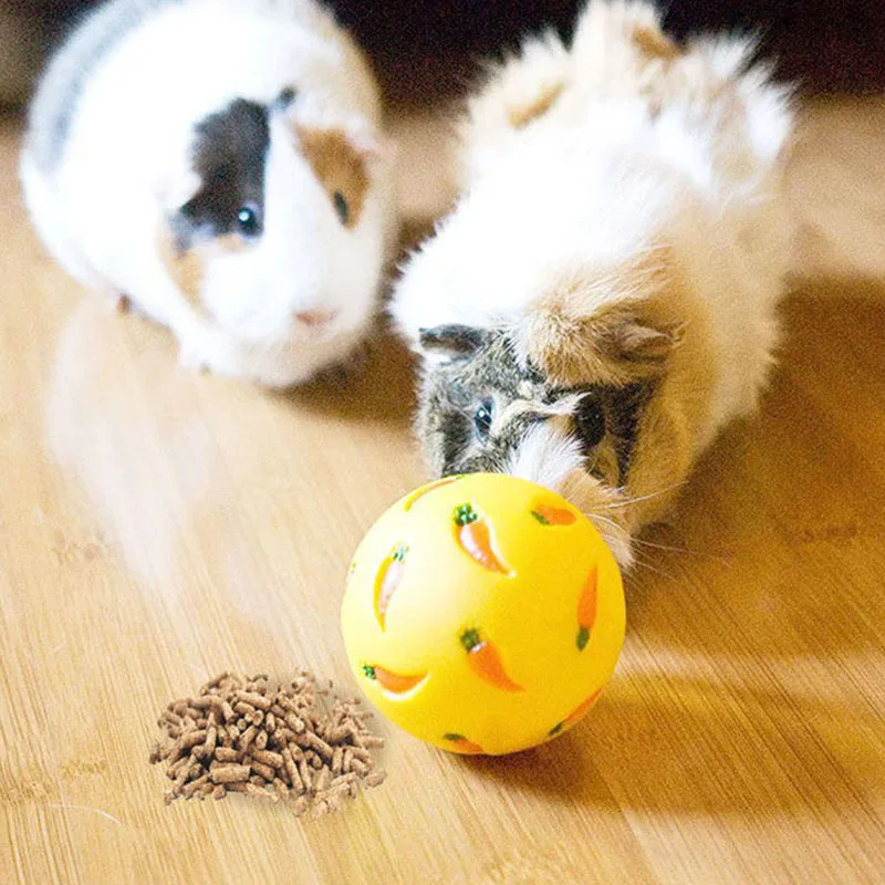 DIY Guinea Pig Toys: Creating Fun and Enrichment on a Budget插图