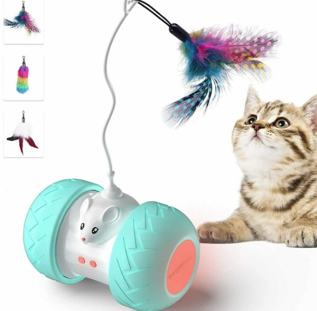 Interactive Cat Toys: Keeping Your Kitty Active and Happy插图1